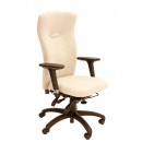 Spynamics SD12 - Bad Back Sufferer (access to work recommended: Large)