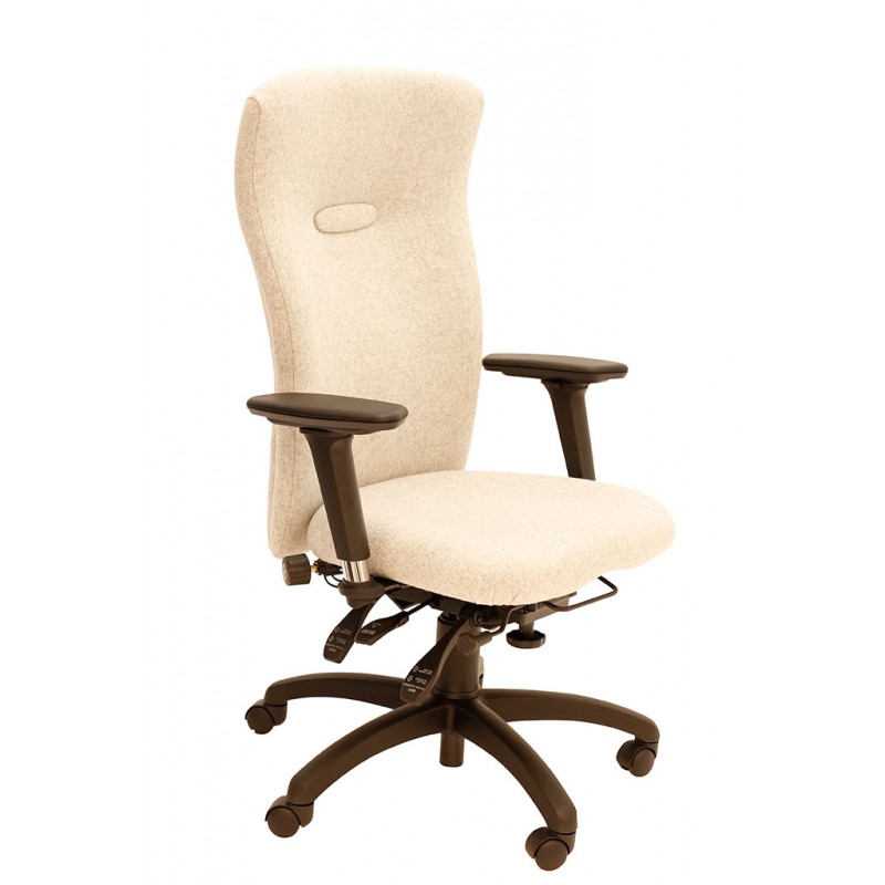 Spynamics SD12 Bad Back Sufferer access to work recommended